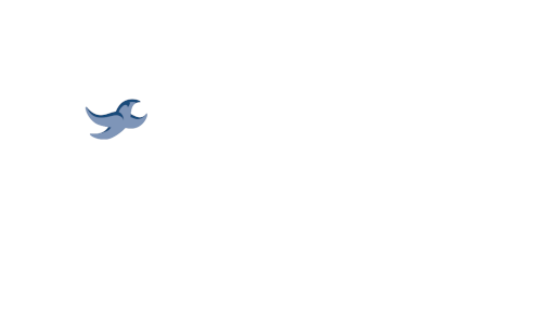 Savio Education logo