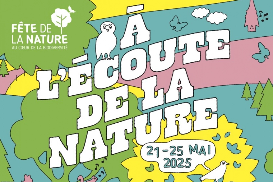 École privée à Lausanne : l’École Saint Dominique Savio célèbre la biodiversité avec la Fête de la Nature 2025 Ecole maternelle privée internationale à Lausanne École privée à Lausanne : l’École Saint Dominique Savio célèbre la biodiversité avec la Fête de la Nature 2025