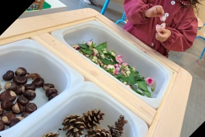Le respect de la nature et la création dans une école privée maternelle et primaire bilingue